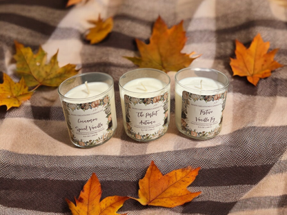 8.5 oz Coconut Soy Candle- Fall Collection